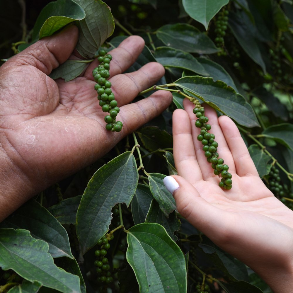 Jste u nás poprvé?