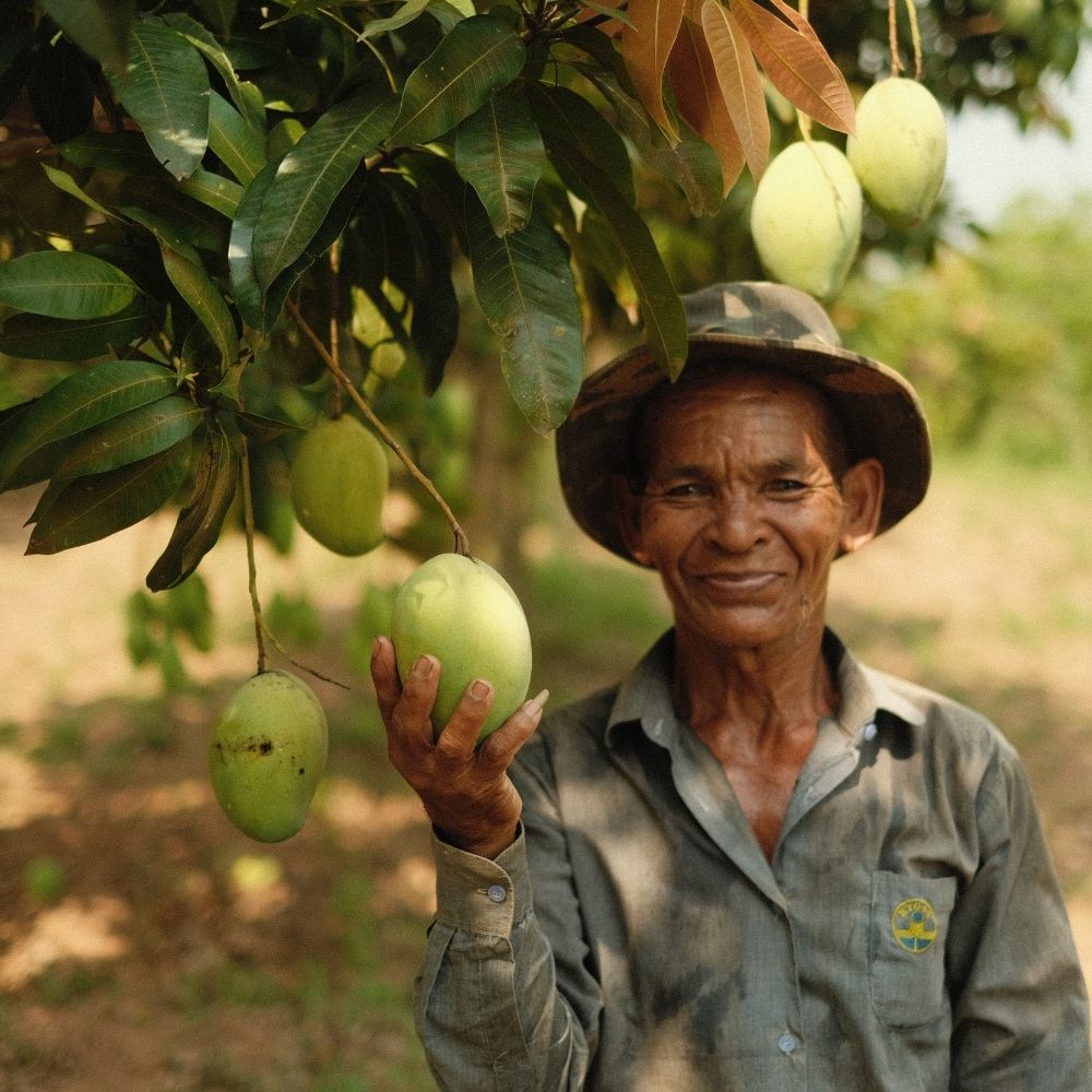 Černý pepř a sezónní ovoce: připravte se na pořádně peprné léto