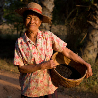 Férové koření – jak je to u vás doma a jak v Kampotu?
