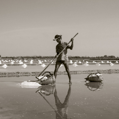 Jak poznáte pravý solný květ?