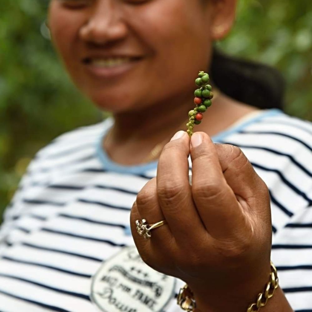 Direct vs fair trade: jaký je mezi nimi rozdíl?