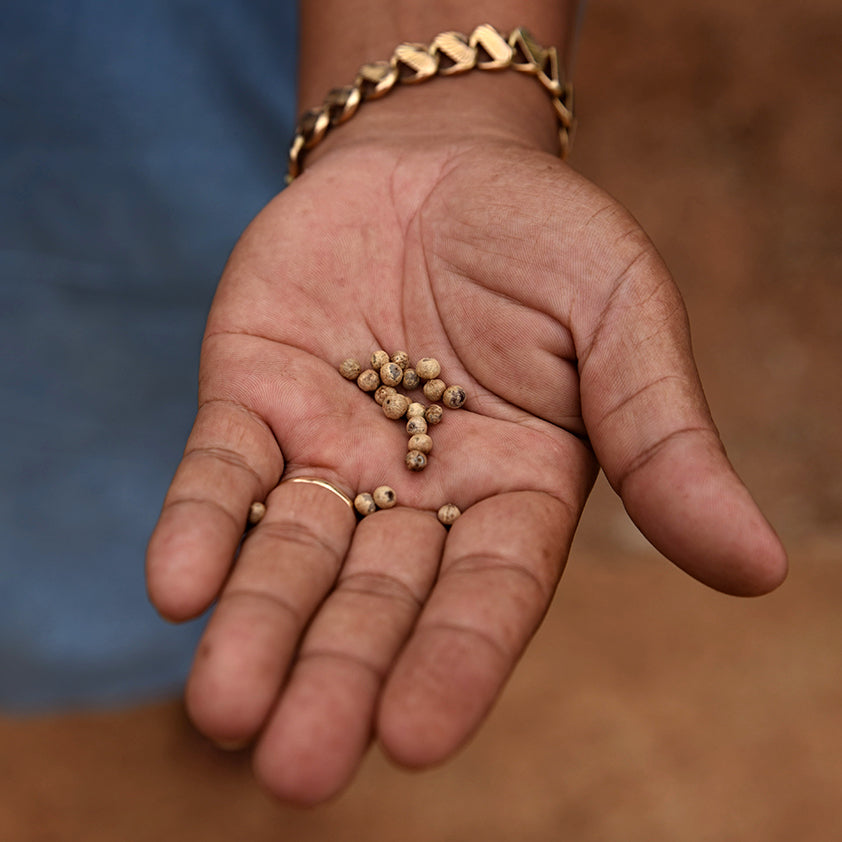 Udržitelnost. Co to v našem případě znamená?